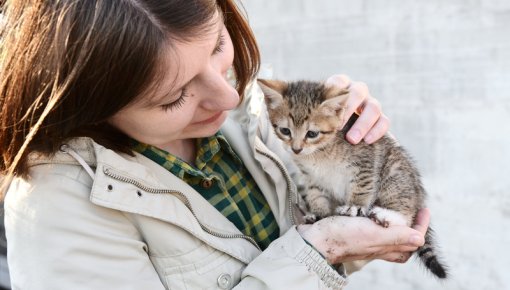 Foto von Mädchen mit junger Katze