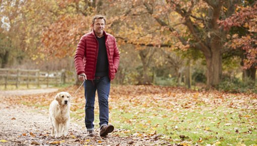 Foto von Mann und Hund beim Spaziergang