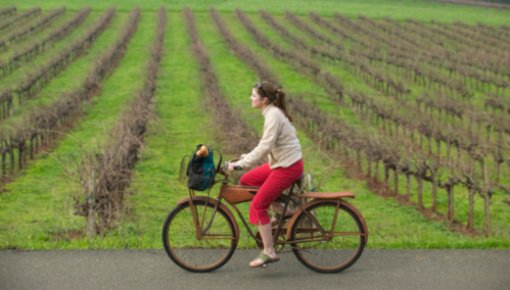 Foto von Frau beim Radfahren