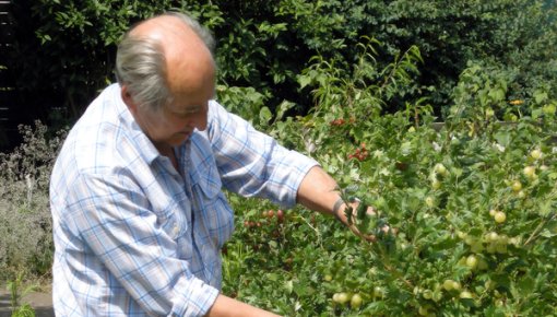 Foto von älterem Mann im Garten