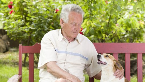 Foto von Mann mit Hund