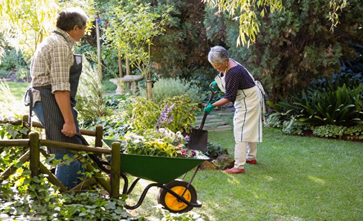 Foto von Paar bei der Gartenarbeit