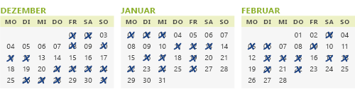 Grafik: Medikamenten-Kalender: Tage, an denen Medikamente gegen Kopfschmerzen genommen wurden, sind mit einem Kreuz markiert