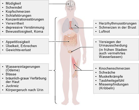 Grafik: Mögliche Symptome einer chronischen Nierenkrankheit 