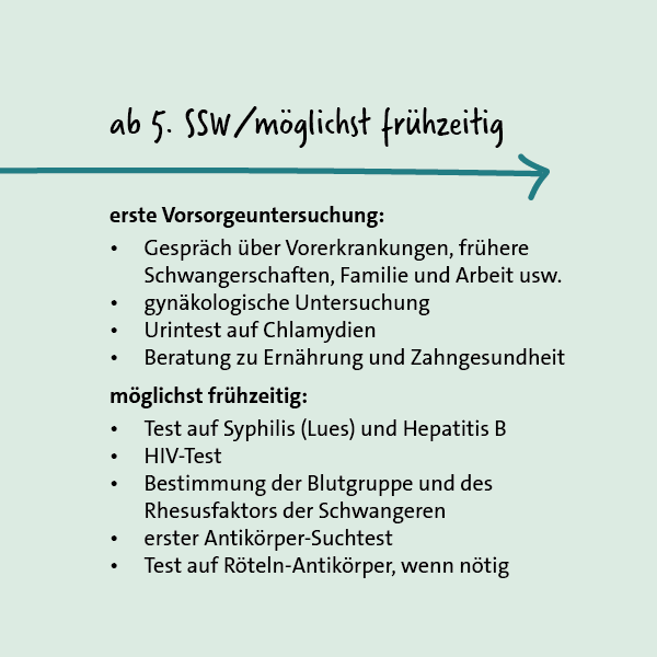 Grafik: Vorsorgeuntersuchungen in der Schwangerschaft