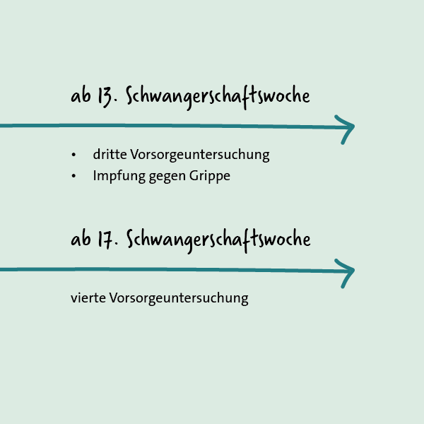 Grafik: Vorsorgeuntersuchungen in der Schwangerschaft