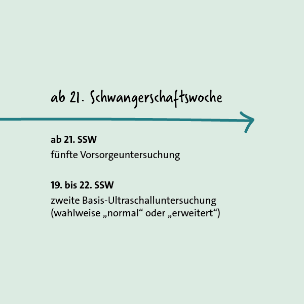 Grafik: Vorsorgeuntersuchungen in der Schwangerschaft