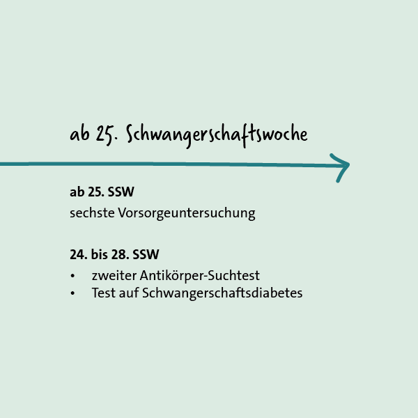 Grafik: Vorsorgeuntersuchungen in der Schwangerschaft