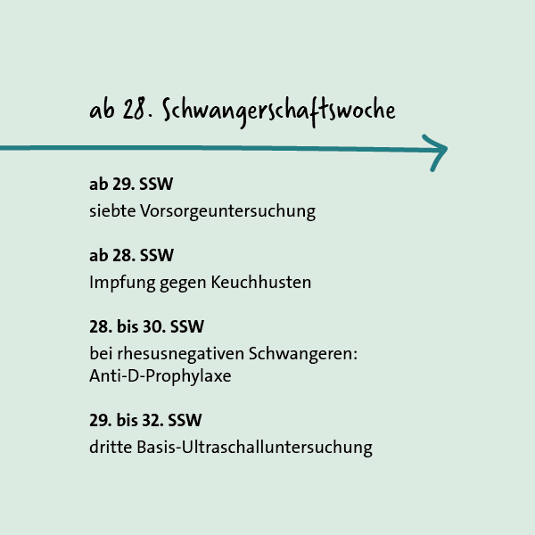 Grafik: Vorsorgeuntersuchungen in der Schwangerschaft