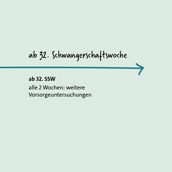 Grafik: Vorsorgeuntersuchungen in der Schwangerschaft