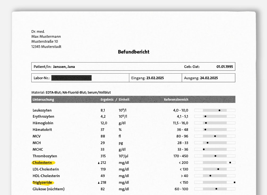 Die Grafik zeigt das Beispiel eines Befundberichts aus dem Labor.