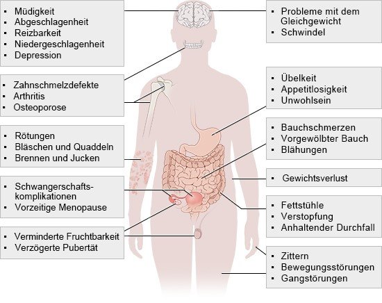 Grafik: Folgen des Nährstoffmangels durch chronische Darmentzündung bei Zöliakie