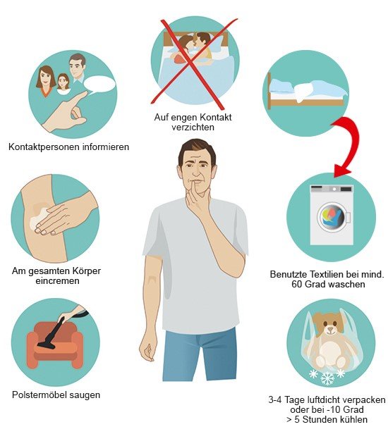 Grafik: Was tun, wenn Krätze festgestellt wurde?