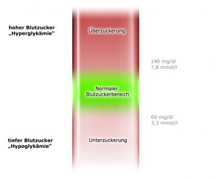 Grafik: Blutzucker - Normbereich zwischen Über- und Unterzuckerung, wie im Text beschrieben