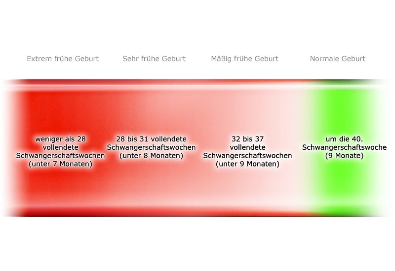 Grafik: Drei Gruppen von Frühgeborenen - wie im Text beschrieben