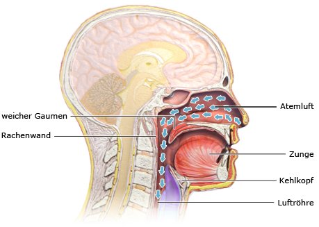 Grafik: Normale Atmung