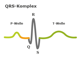 Grafik: QRS-Komplex zwischen P-Welle und T-Welle bei normalem Herzschlag