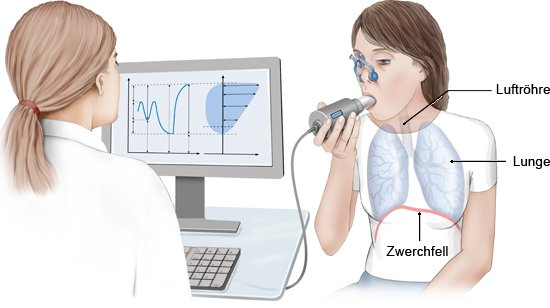 Grafik: Während der Spirometrie - wie im Text beschrieben