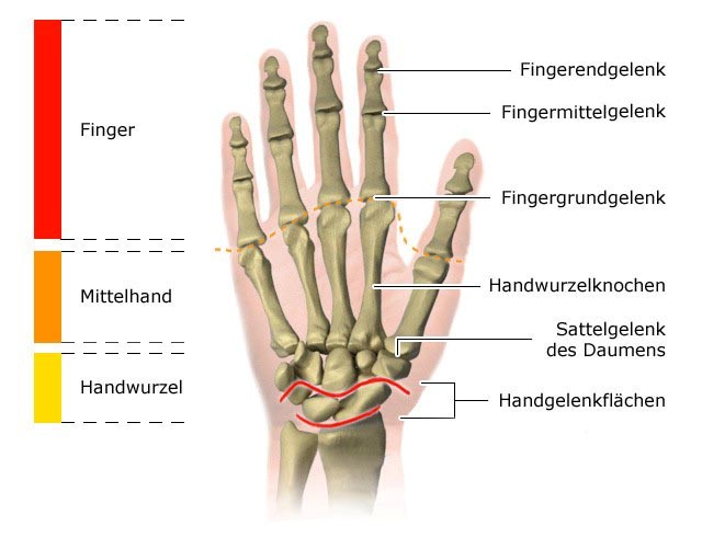 Rheumatoide Arthritis - gesundheitsinformation.de